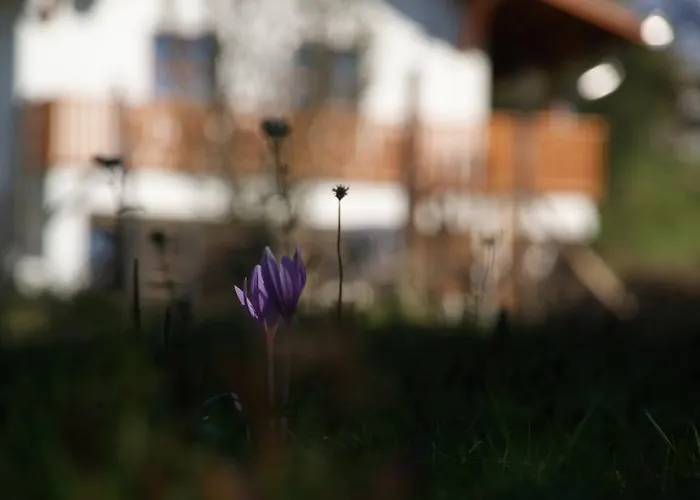 Erdoszeli Vendeghaz -