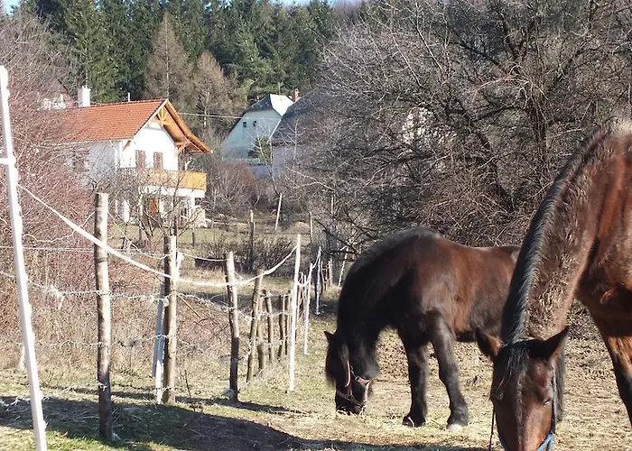 Apartament Erdoszeli Vendeghaz -